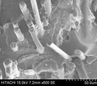 POE-g-MAH對玻纖增強(qiáng)高溫尼龍的增韌機(jī)理
